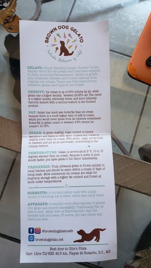  at Brown Dog Gelato in Rosarito