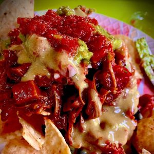 Bbq jackfruit nachos at Tree Hugger Plant-Based Kitchen in Kansas City