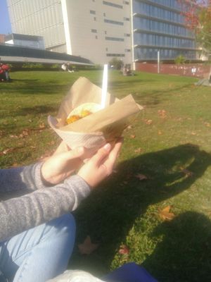 Falafel at Falafel Pedralbes in Barcelona