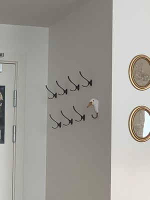 Cute duck❤️❤️🐥  at Cafe Harepus in Aarhus