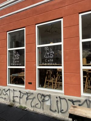   at Cafe Harepus in Aarhus