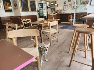  at Cafe Harepus in Aarhus