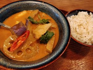 Curious curry. Served with rice. Excellent at The Kind Bowl - Somerset in Central Singapore