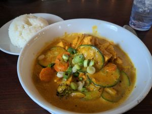 Curry with tofu at Viet Cuisine in Huntsville