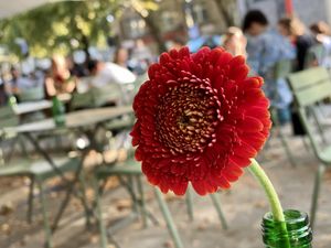 outside at Sattgrün - Neumarkt in Cologne