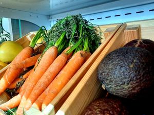 Avocado & carrots at La Tizna - Casa de Comidas Sostenible in Sevilla