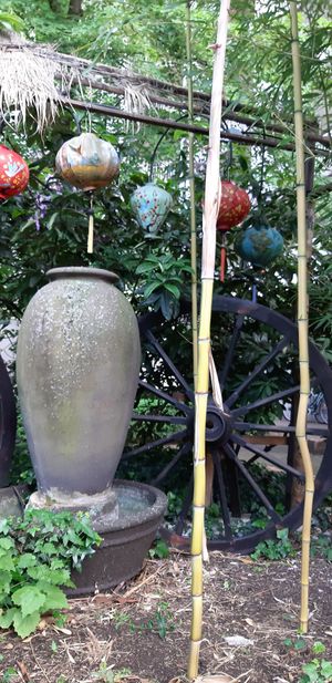  at Ong Tao Vegan in Frankfurt