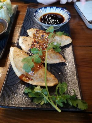 Nr. 6 Dumplings mit Gemüsefüllung at Ong Tao Vegan in Frankfurt