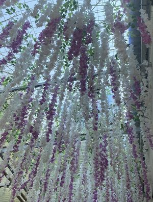   at Ong Tao Vegan in Frankfurt