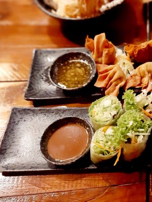 Sommerrolle & Wan Tan at Ong Tao Vegan in Frankfurt