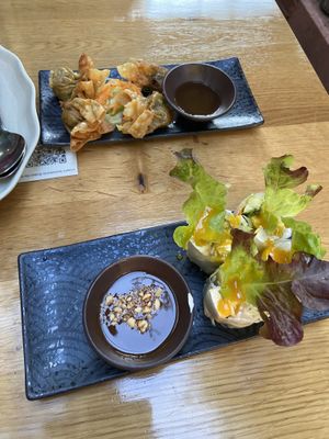 Dumplings mit Gemüse und Sommerrollen at Ong Tao Vegan in Frankfurt