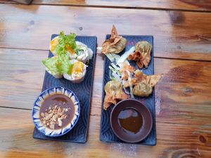 Vorspeisen- Sommerrollen und Gemüse-Dumplings at Ong Tao Vegan in Frankfurt