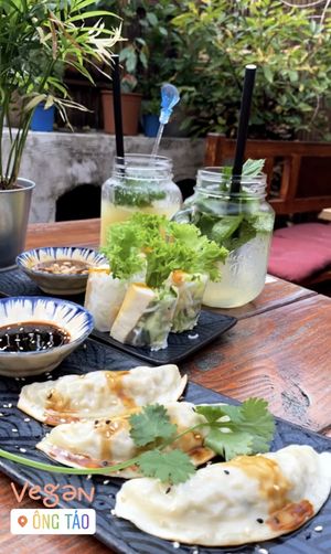Sommerrollen und gefüllte Dumplings at Ong Tao Vegan in Frankfurt