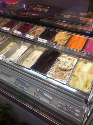 various vegan flavors  at Eissalon Olivier in Ludwigsburg