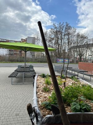 🌱👌🏻  at Bioladen Schömmel in Cottbus