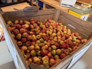 real apples  at Bioladen Schömmel in Cottbus
