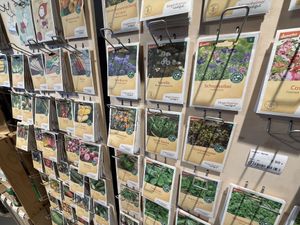 veggie seeds  at Bioladen Schömmel in Cottbus