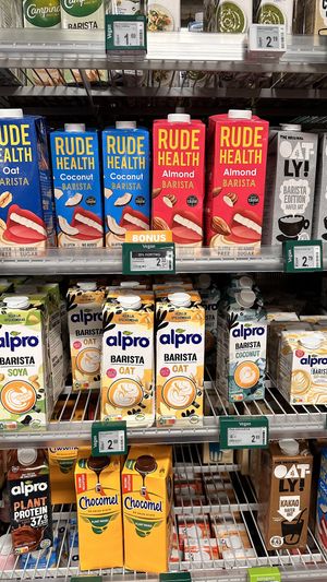   at Albert Heijn in Amsterdam