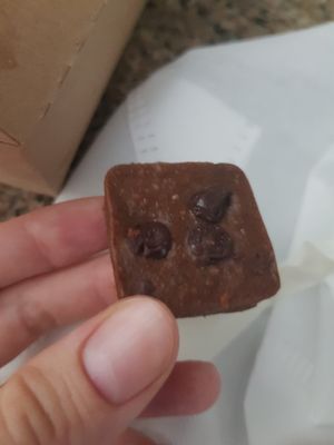 Brownie at Veggie Curious in Panama City