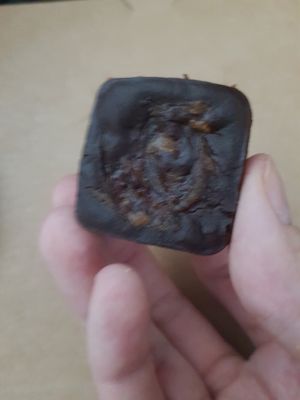 Brownie pb at Veggie Curious in Panama City