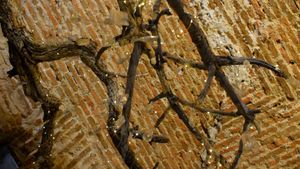 interior at Choose in Madrid