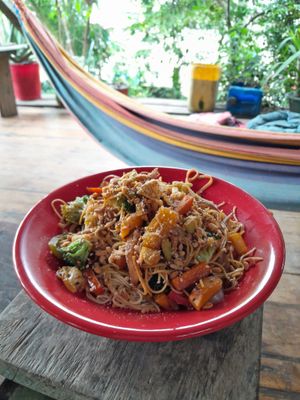 Vegan stir fry at Secret Garden in Mompiche