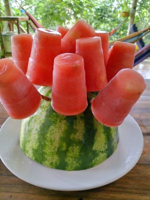 TuttiFrutti Popsicles at Secret Garden in Mompiche
