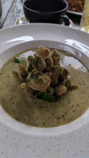 Sorrel soup, really excellent at Zakwasownia in Gdansk