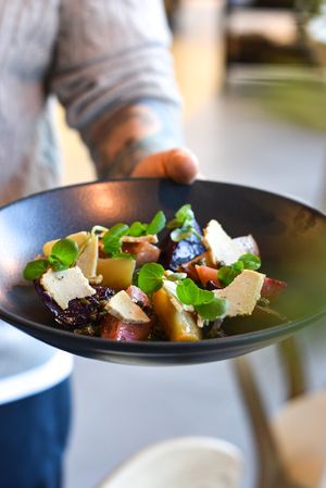 Beet salad with plant based homemade cheese at Zakwasownia in Gdansk