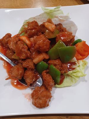 Cerdo agriduce at Happy Veggie Restaurant in New York City