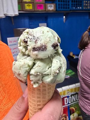 Mint oreo at Big River Scoop Ice Cream in Bemidji