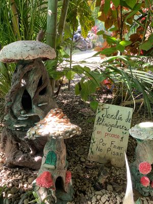  at Indómitos Café & Bar in Uvita