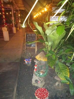 Walkway to outdoor seating. Very cute. at Indómitos Café & Bar in Uvita