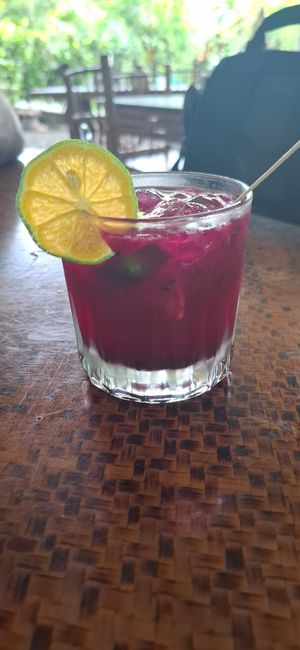 Dragon fruit caipirinha at Indómitos Café & Bar in Uvita