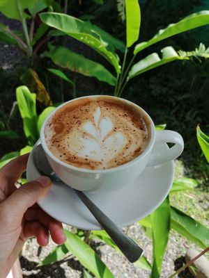 Coffee with vegetable milk at Indómitos Café & Bar in Uvita