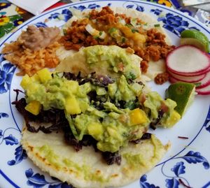 Hibiscus taco. Couldn't wait to take a bite b4 a pc. at Vegan by El Zamorano in Costa Mesa