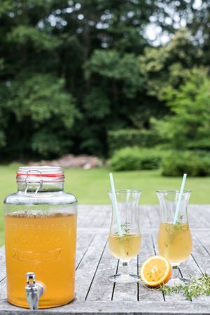 picknick at the Villa Tulsi garden at Villa Tulsi in Kessel