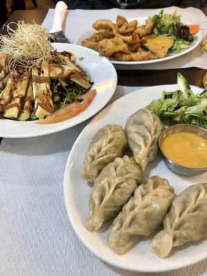 Momos, tofu, and onion bhajis.  at Veggie Garden in Sitges
