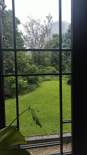 View at Green Italian TORCIA - Shinjuku in Tokyo