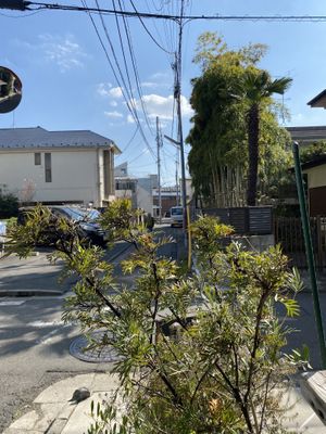 literally in the middle of this neighbourhood   at Universal Bakes and Cafe in Tokyo