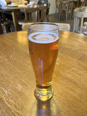 The staff said all kinds of beer are vegan  at Glonojad in Krakow