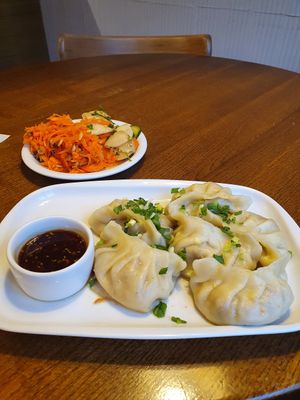 Vegan dumplings and salads at Glonojad in Krakow