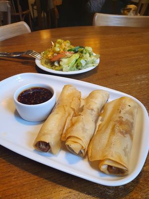 Vegan spring rolls and delicious free salads at Glonojad in Krakow