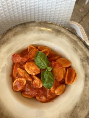 Orecchiette pomodoro e basilico   at Vida in Alberobello