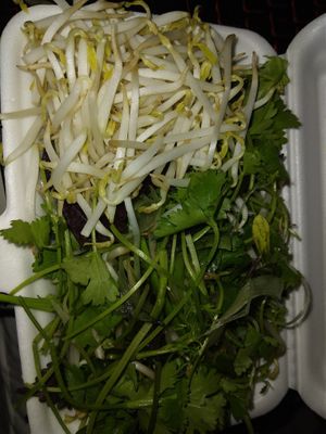 #Veganuary at Katze Vegan & Vegetarian  in Hanoi