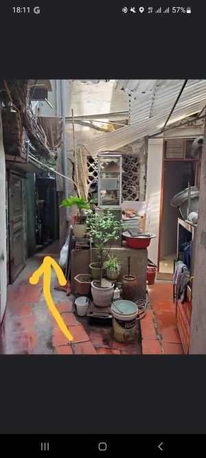  at Katze Vegan & Vegetarian  in Hanoi