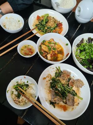 Full deliciousness (bowl of veggies is HUGE, but barely made the picture) 
veggies such as beansprouts, lettuce, herbs and other greens) at Katze Vegan & Vegetarian  in Hanoi