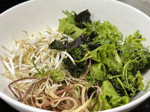 Lettuce, herbs, bean sprouts, banana flower  at Katze Vegan & Vegetarian  in Hanoi