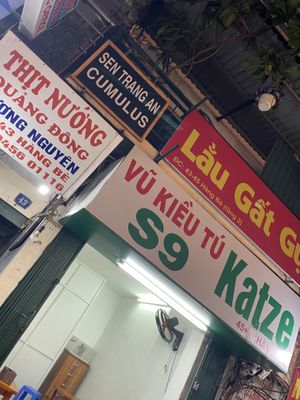  #Veganuary at Katze Vegan & Vegetarian  in Hanoi