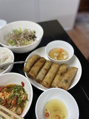 Spring rolls are huge! #Veganuary at Katze Vegan & Vegetarian  in Hanoi